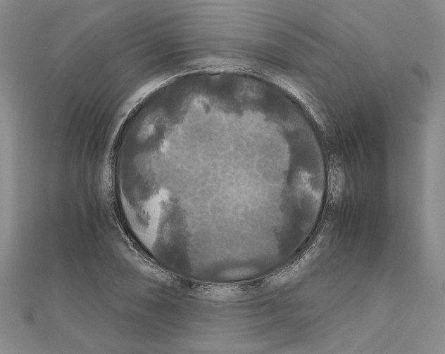 X0000111121074200907281024