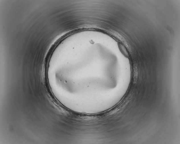 X0000111121076200907281024