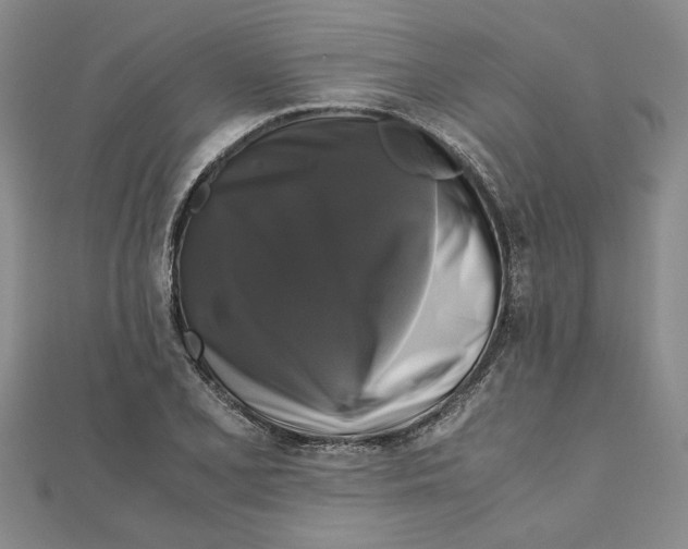 X0000111121077200907281024