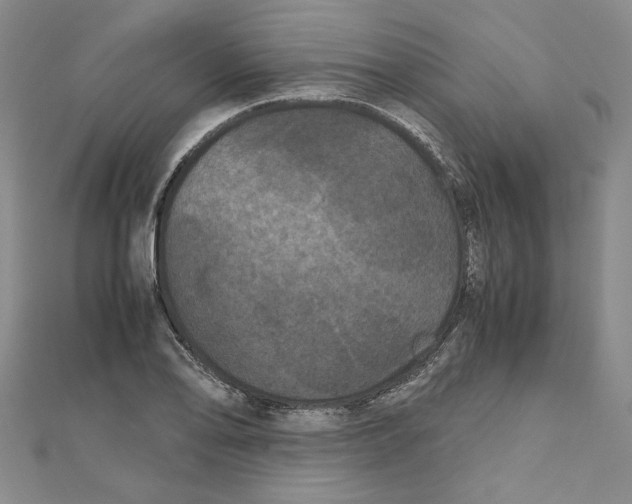 X0000111121078200907281024