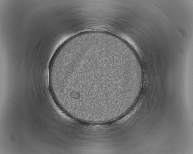 X0000111121079200907281024
