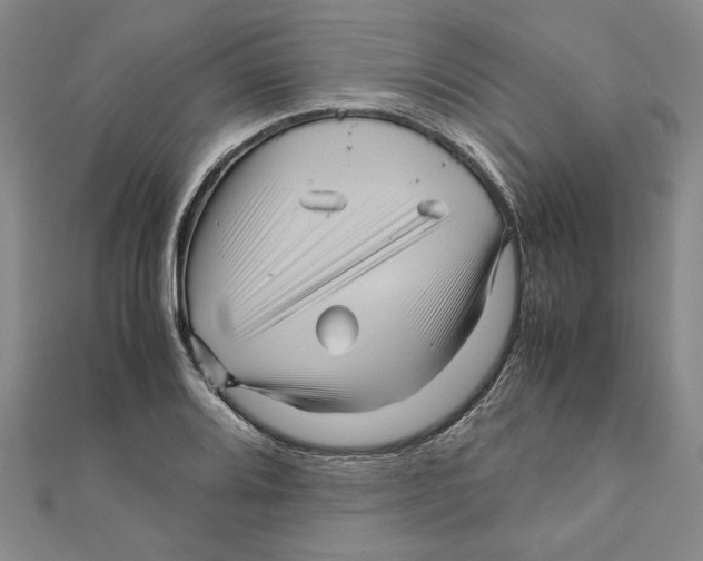 X0000111121080200907281024