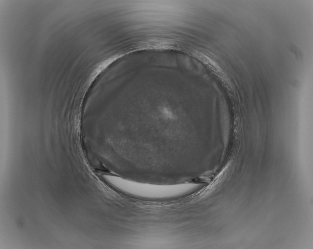 X0000111121081200907281024