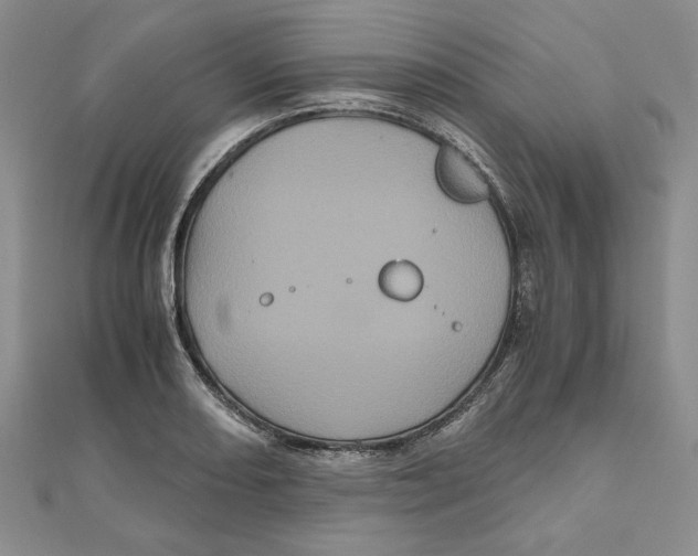 X0000111121082200907281024