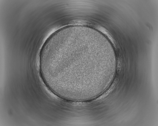 X0000111121083200907281024