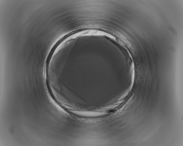 X0000111121084200907281024
