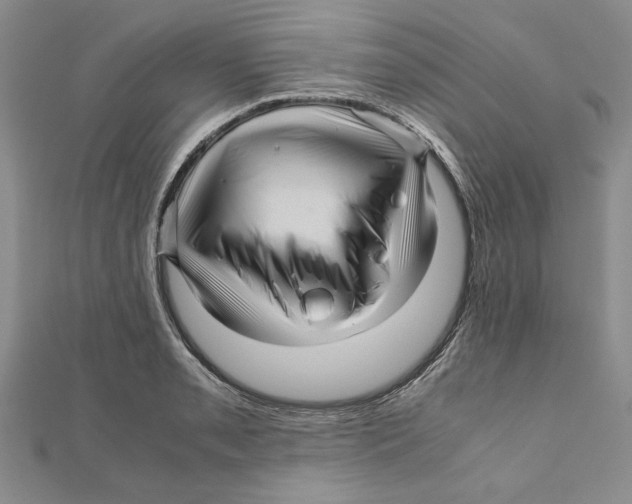 X0000111121085200907281024