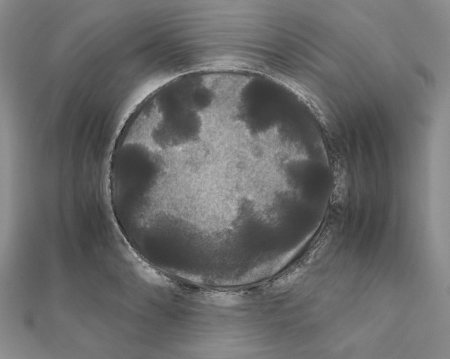 X0000111121086200907281024