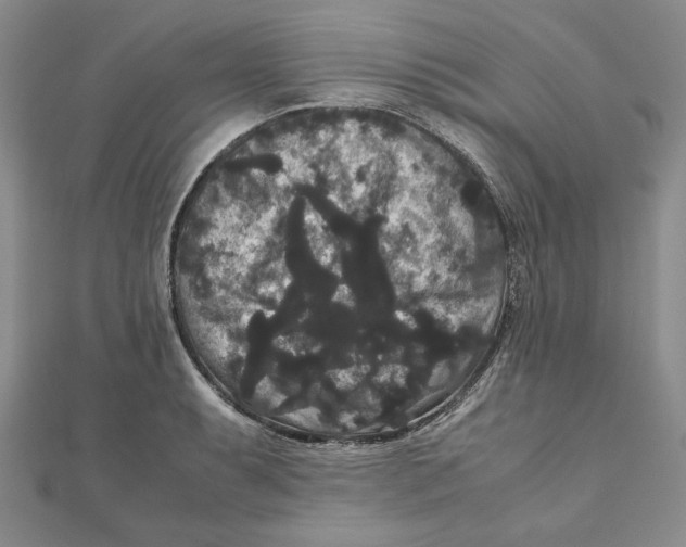 X0000111121087200907281024