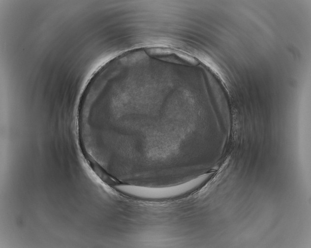 X0000111121088200907281024