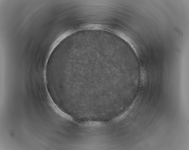X0000111121090200907281024