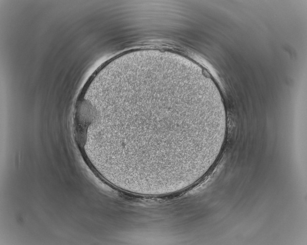 X0000111121091200907281024