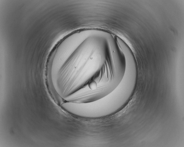 X0000111121093200907281024