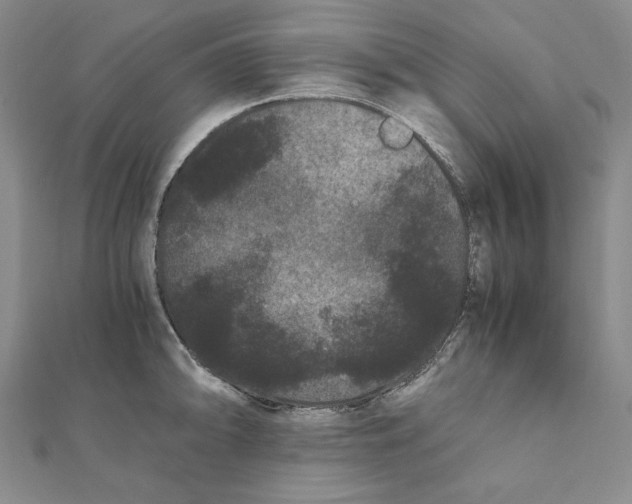 X0000111121094200907281024