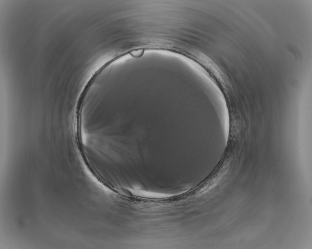 X0000111121095200907281024