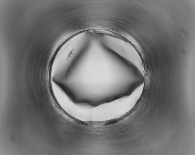 X0000111121096200907281024