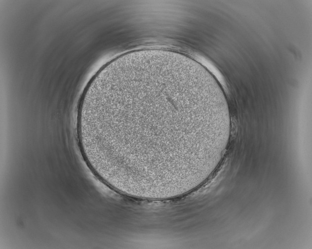 X0000111121099200907281024