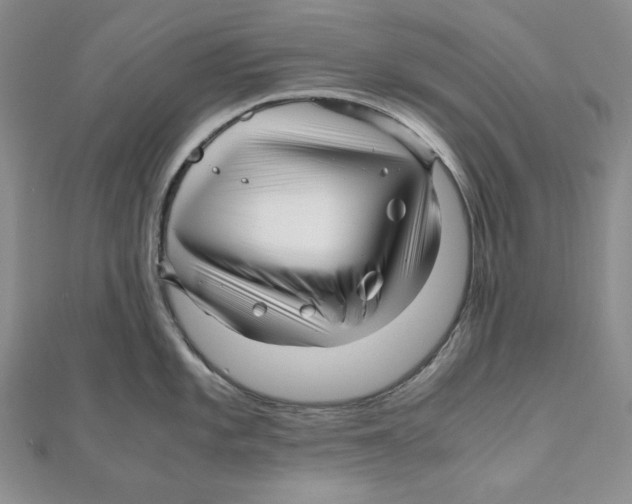 X0000111121101200907281023