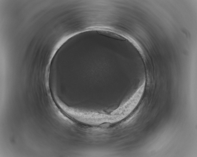 X0000111121102200907281023