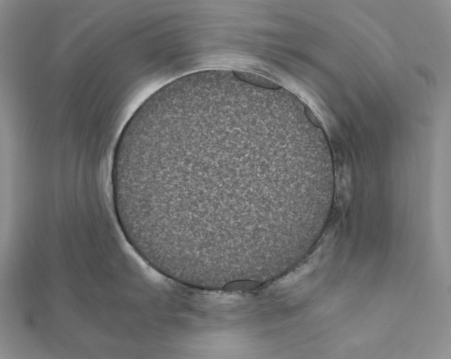 X0000111121103200907281023