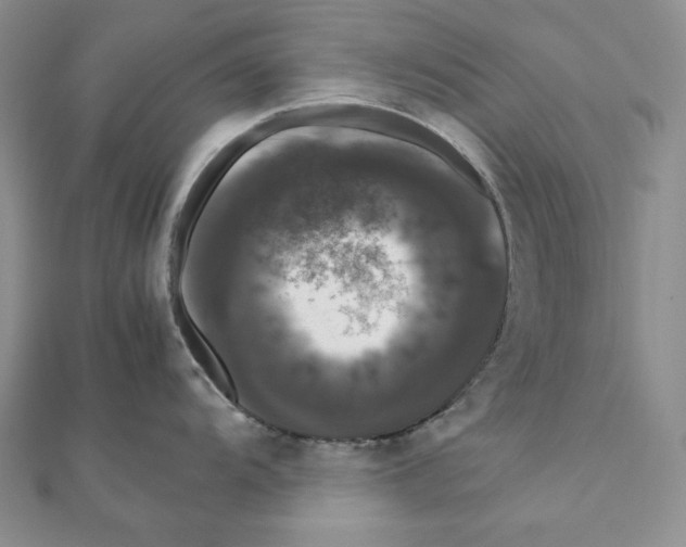 X0000111121104200907281023