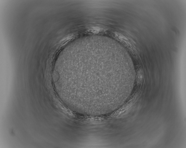 X0000111121105200907281023