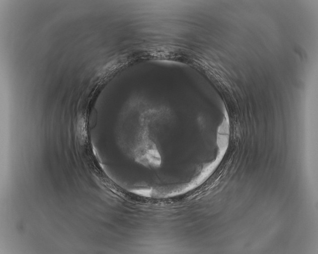 X0000111121106200907281023