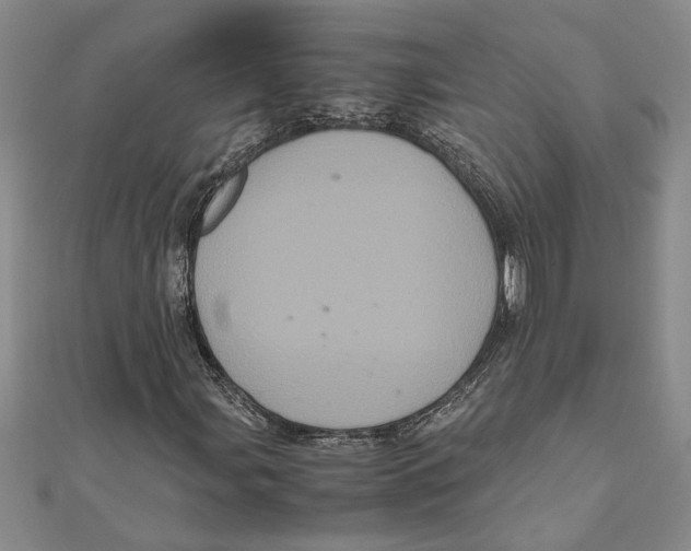 X0000111121107200907281023