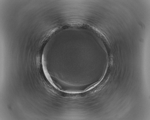 X0000111121108200907281023