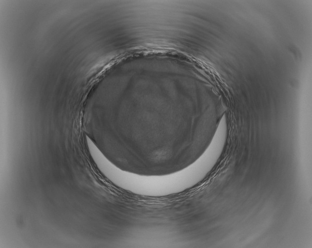 X0000111121110200907281023