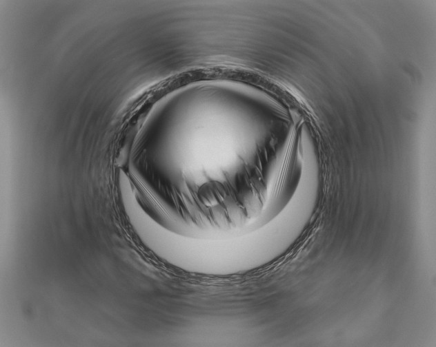 X0000111121112200907281023