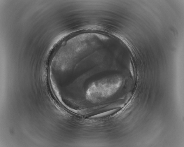 X0000111121115200907281023