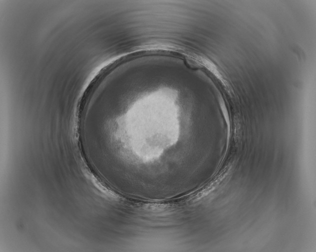 X0000111121116200907281023