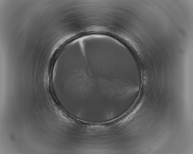 X0000111121117200907281023