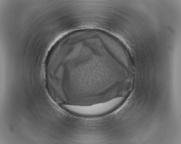 X0000111121118200907281023