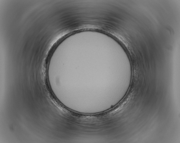 X0000111121119200907281023