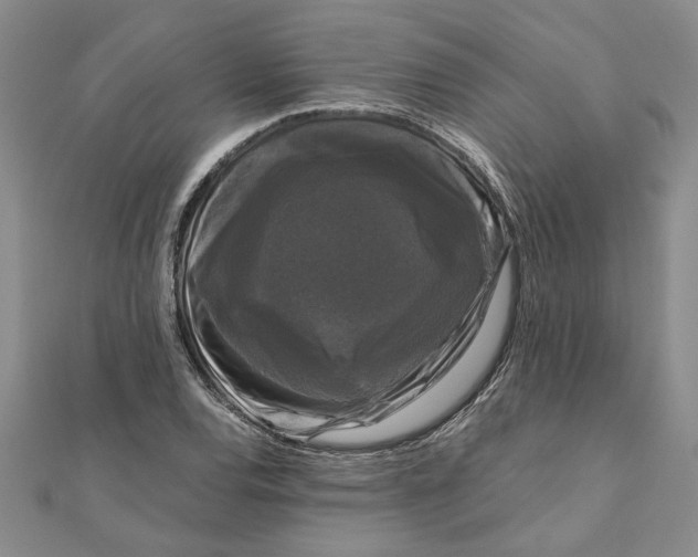 X0000111121120200907281023