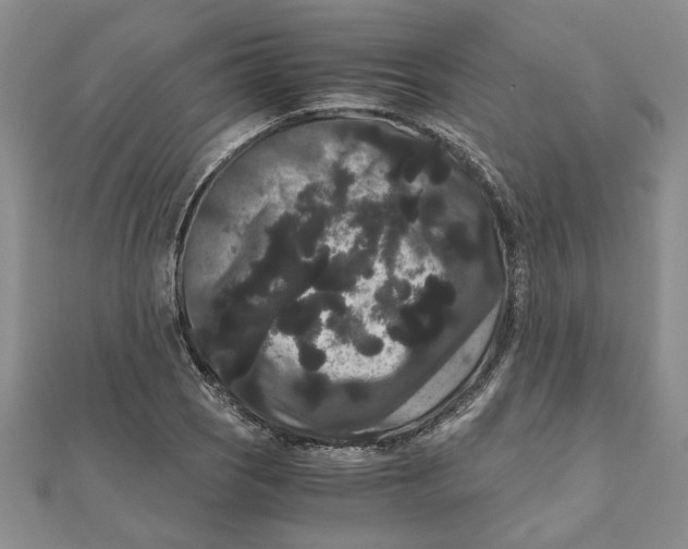 X0000111121121200907281023