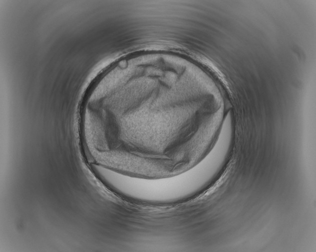 X0000111121122200907281023