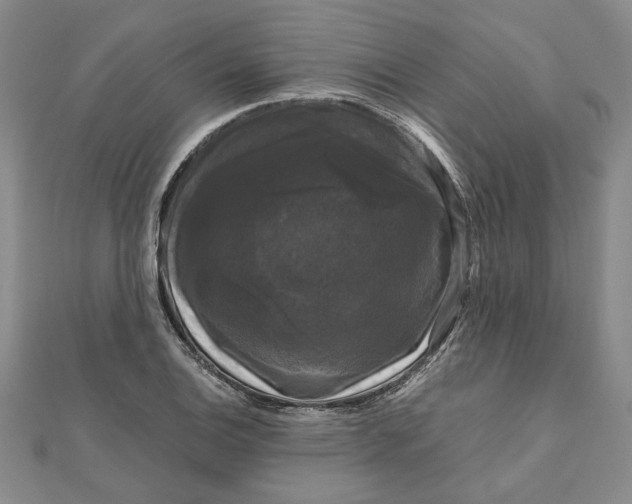 X0000111121124200907281023