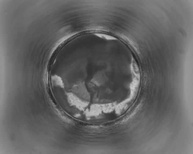 X0000111121125200907281023