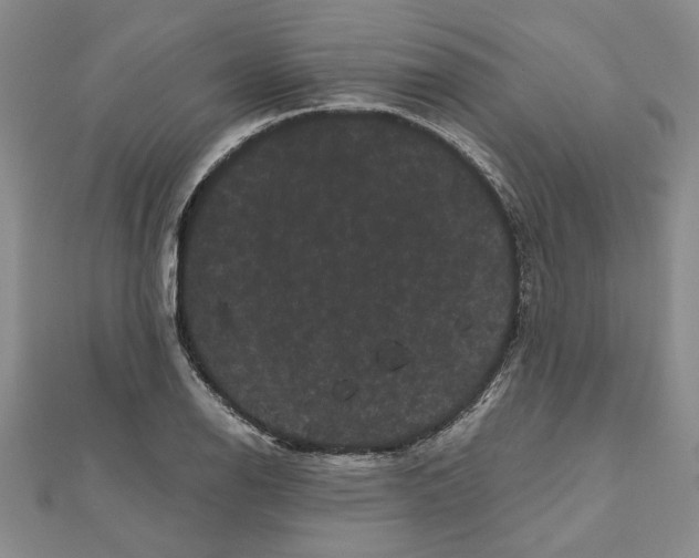 X0000111121126200907281023