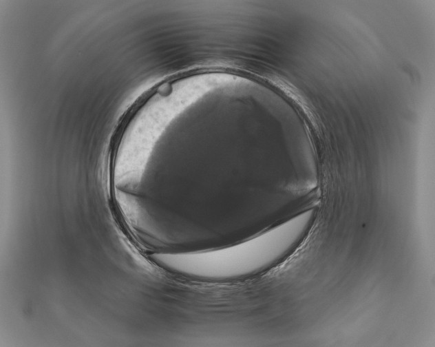X0000111121127200907281023