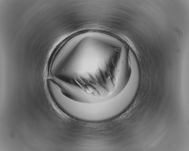 X0000111121128200907281023