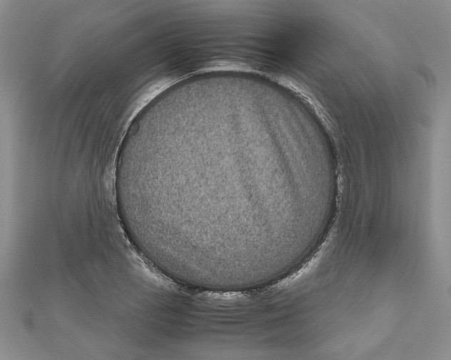 X0000111121129200907281023