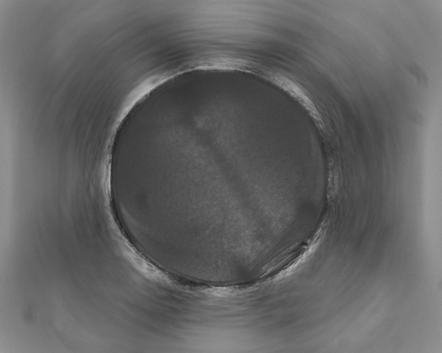 X0000111121130200907281023