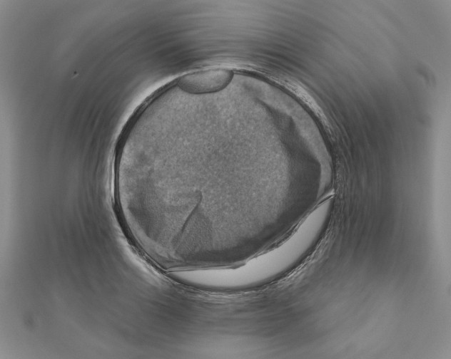 X0000111121132200907281023