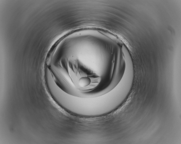 X0000111121134200907281023