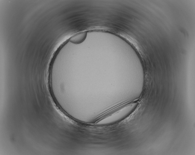 X0000111121135200907281023