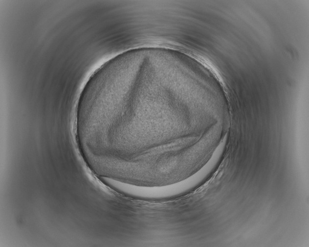 X0000111121136200907281023